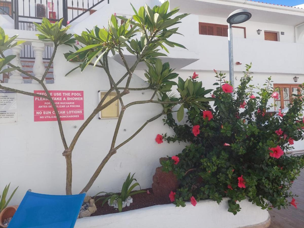 Appartement Pool & View Christianos à Los Cristianos  Extérieur photo